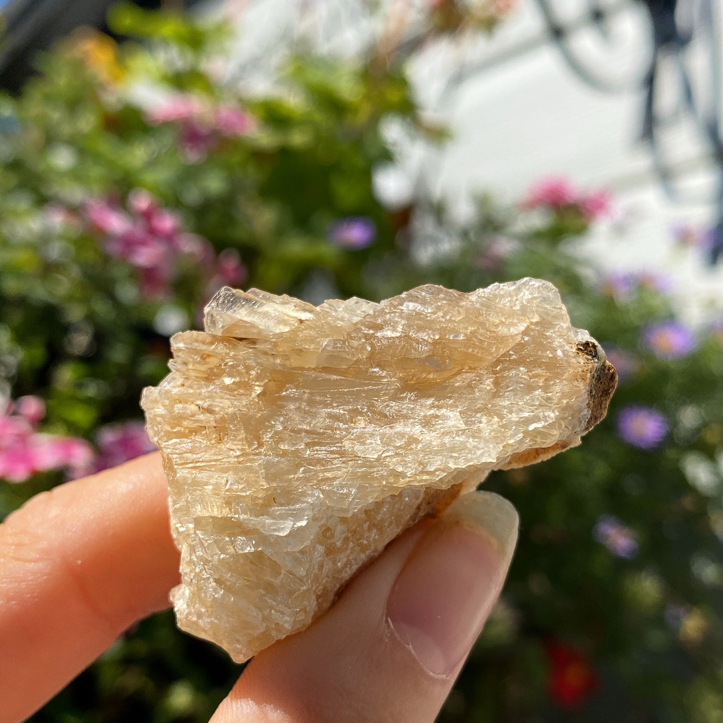 Honey Calcite Rough Crystal