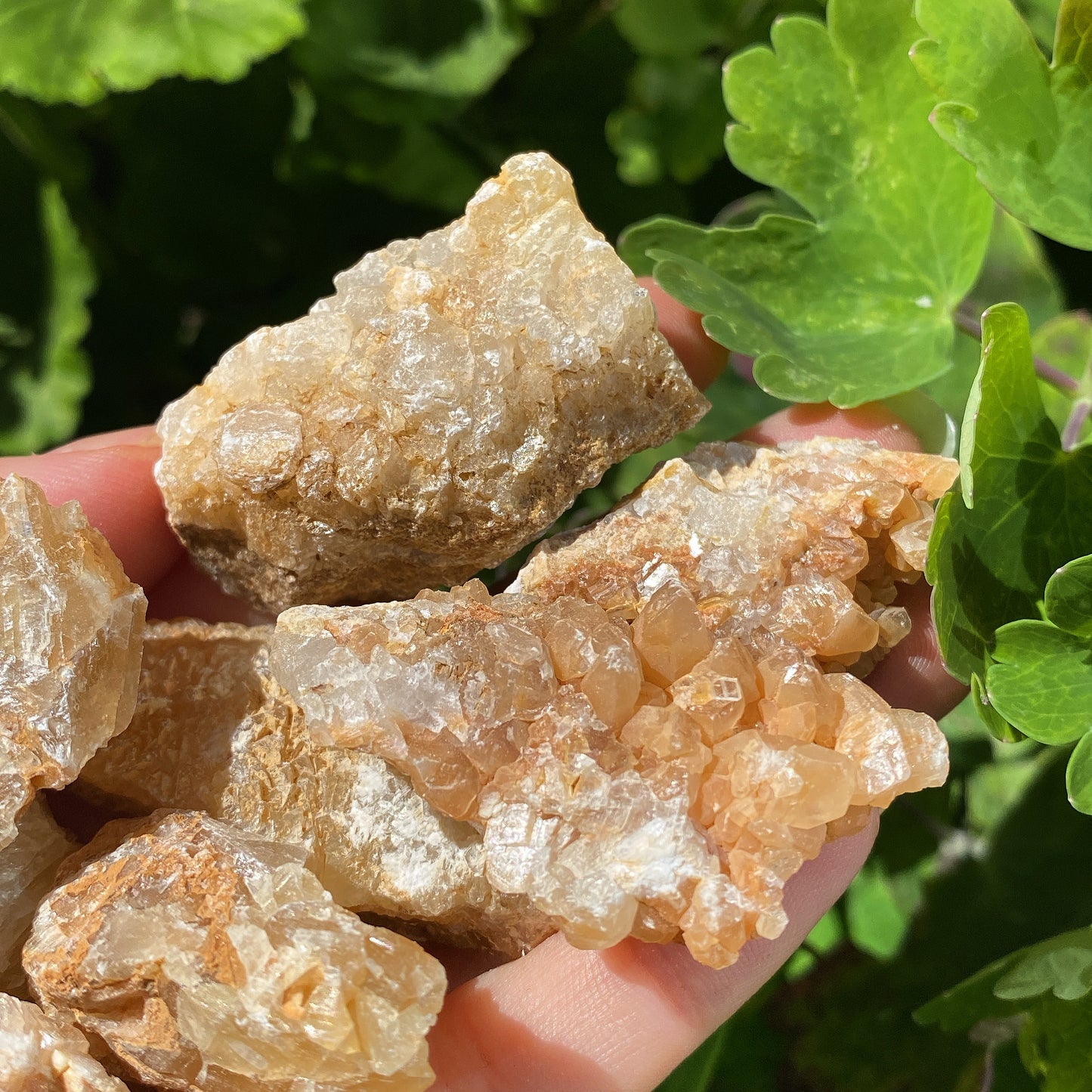 Honey Calcite Rough Crystal