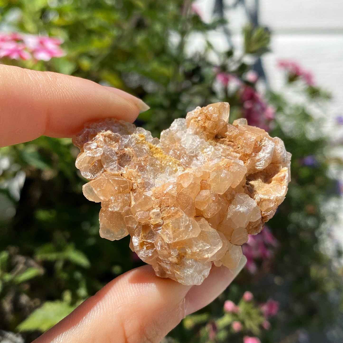 Honey Calcite Rough Crystal
