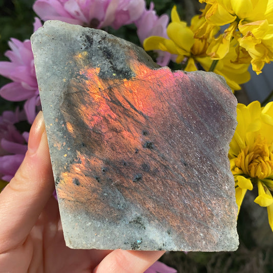 Labradorite Raw Slab - 315g