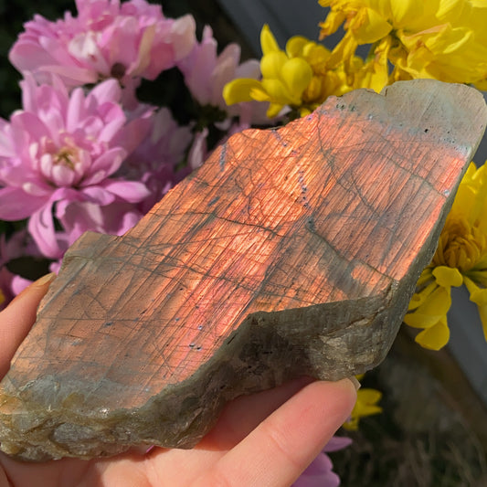 Labradorite Raw Slab - 220g