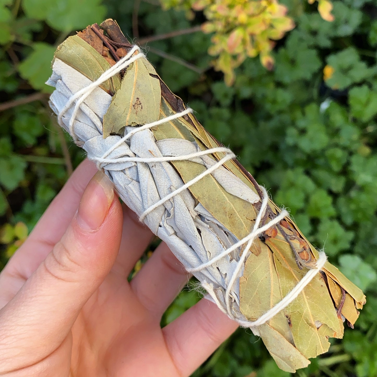 white sage and eucalyptus smudge stick