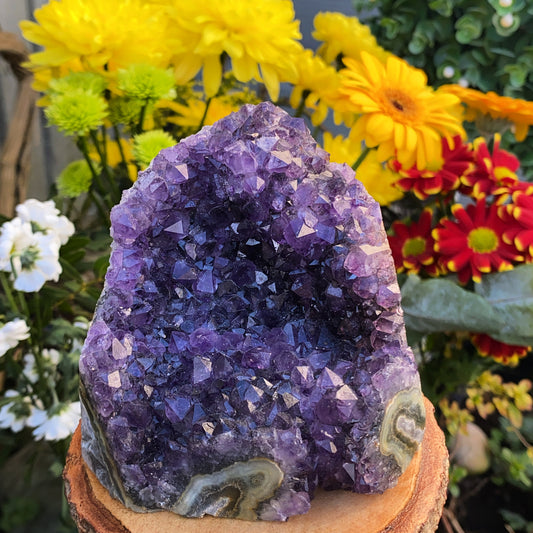 Uruguayan Amethyst Cluster #13