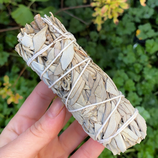 white sage smudge stick