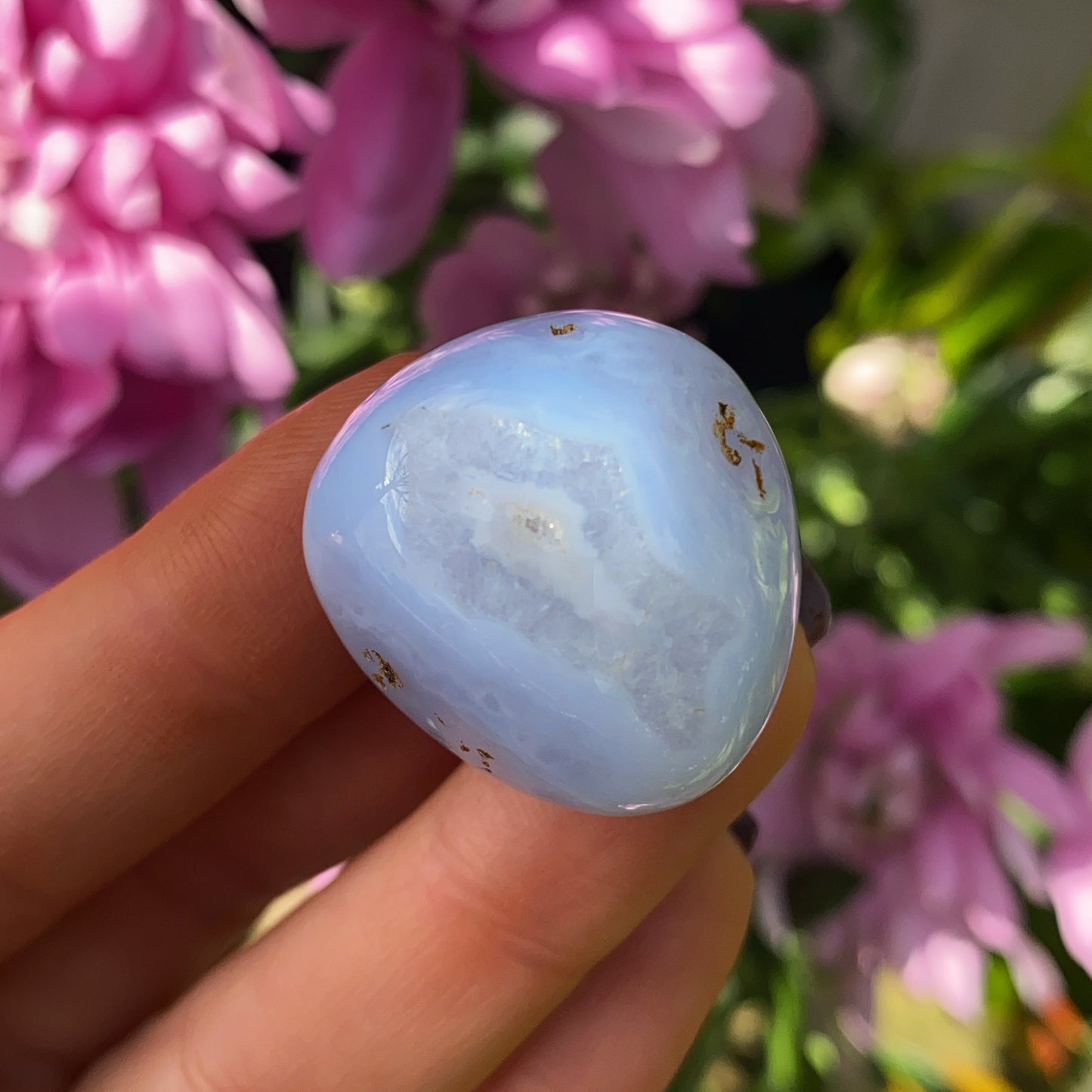 Blue Lace Agate Tumblestones