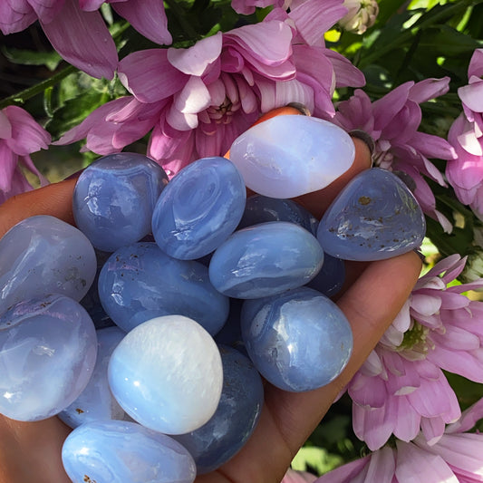 Blue Lace Agate Tumblestones