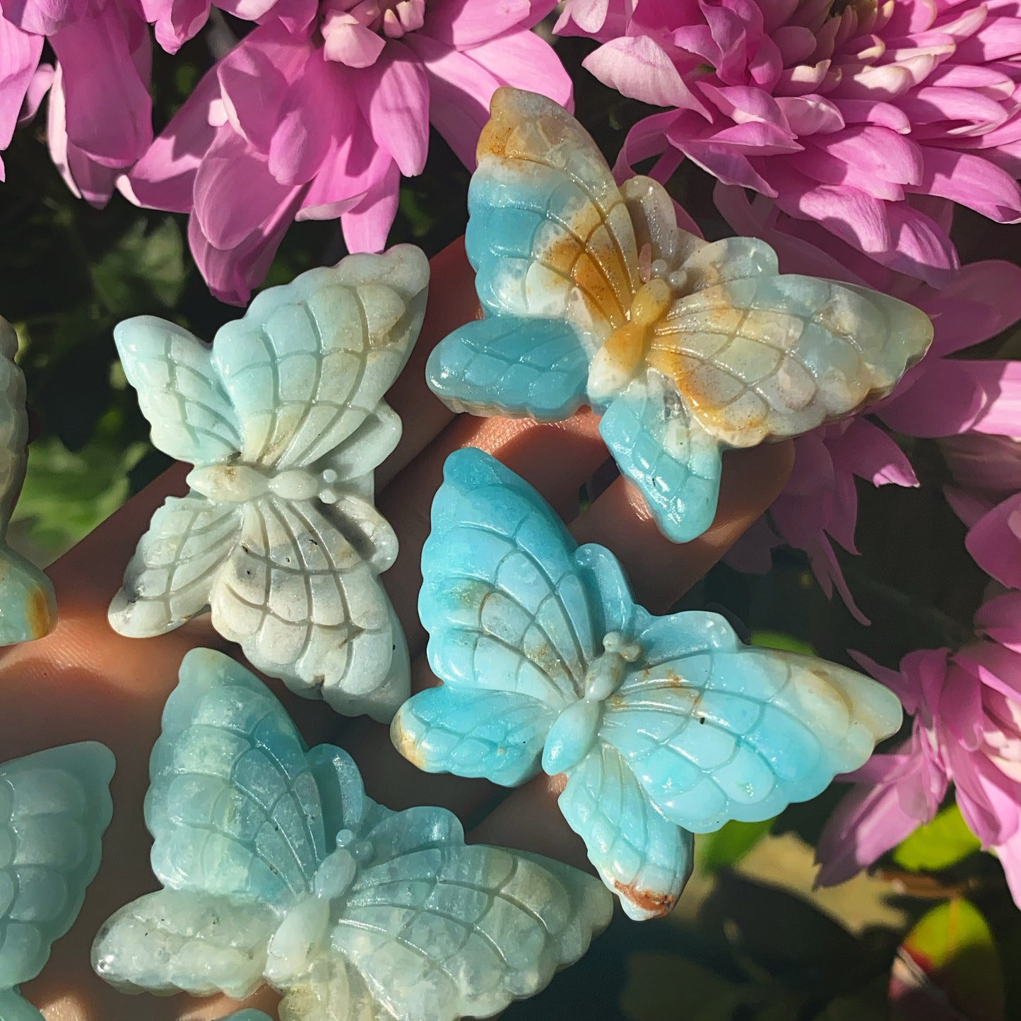 Hand Carved Caribbean Calcite Butterfly