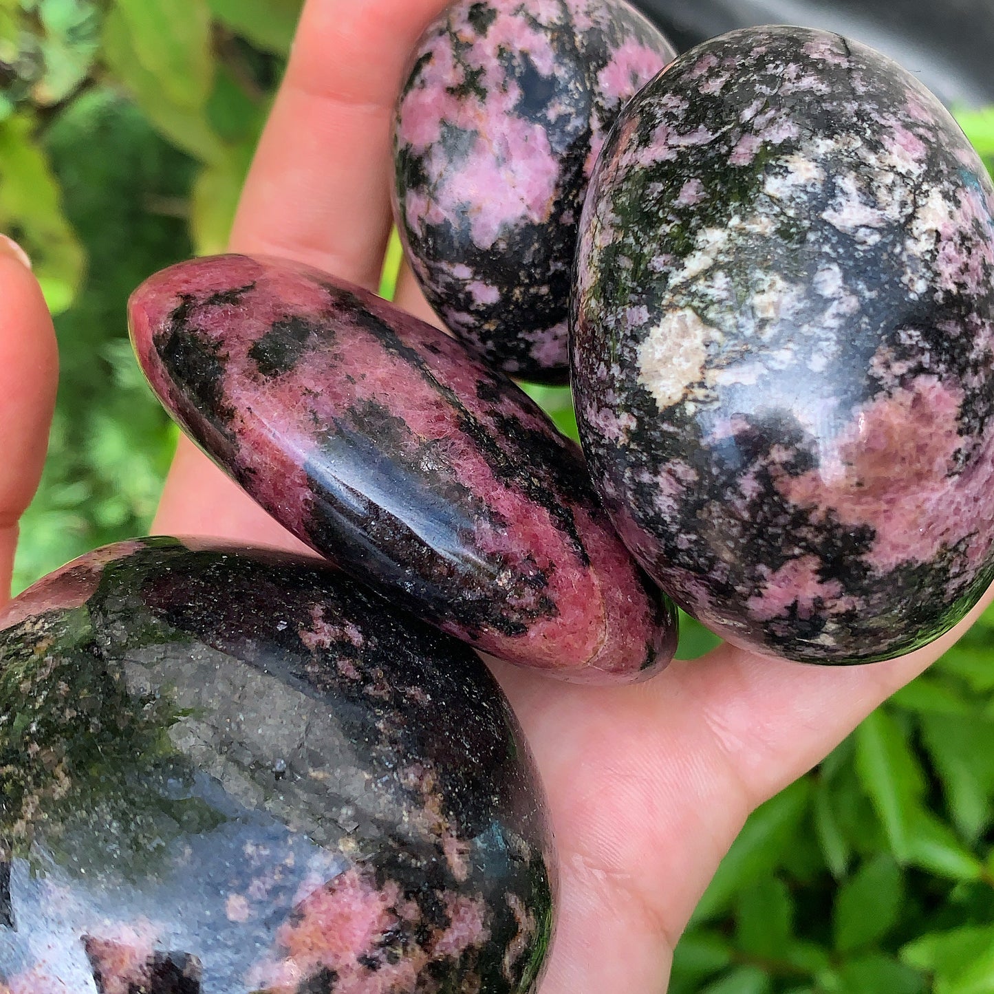 Plum Blossom Tourmaline Palm Stone