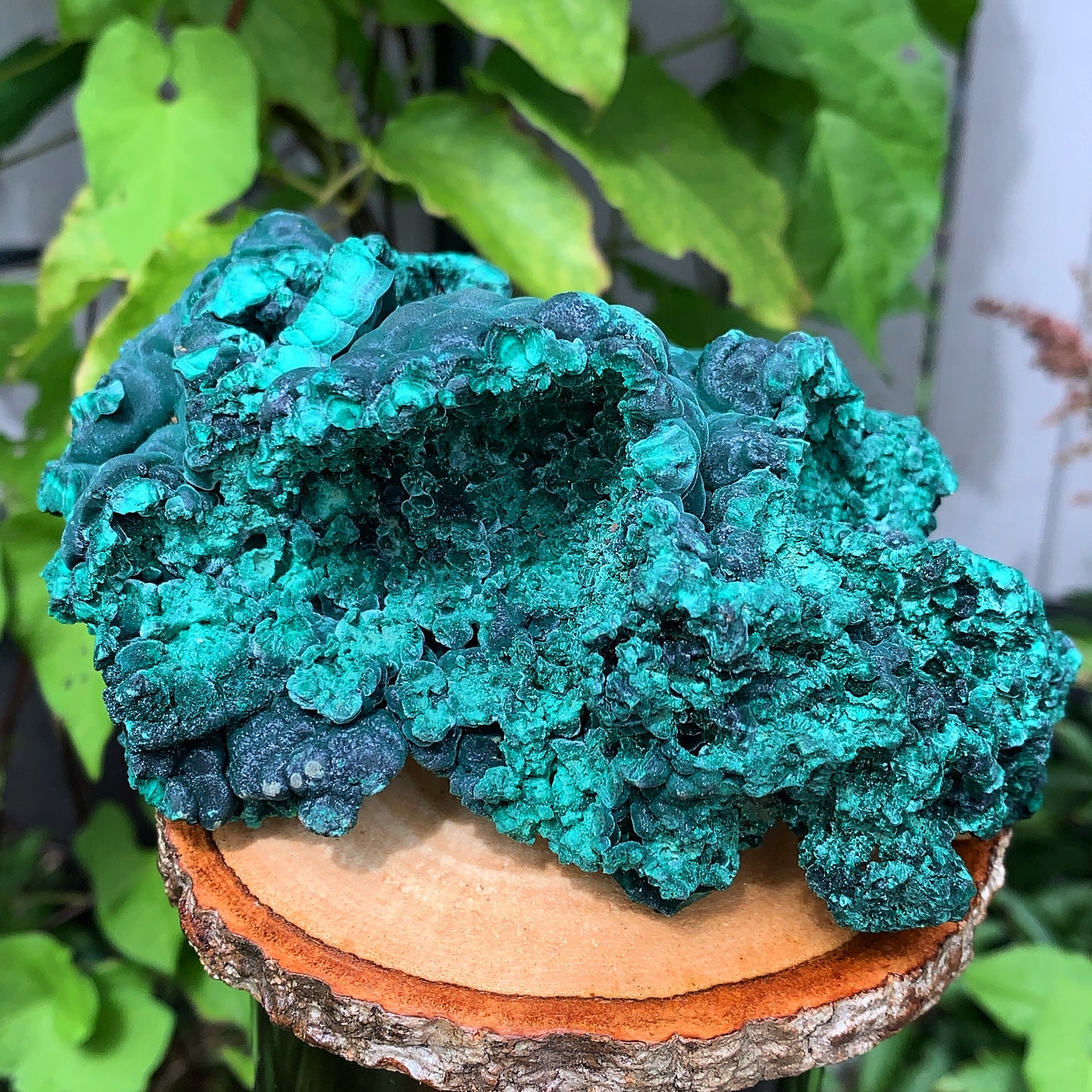 Malachite Silky Velvet - 535g