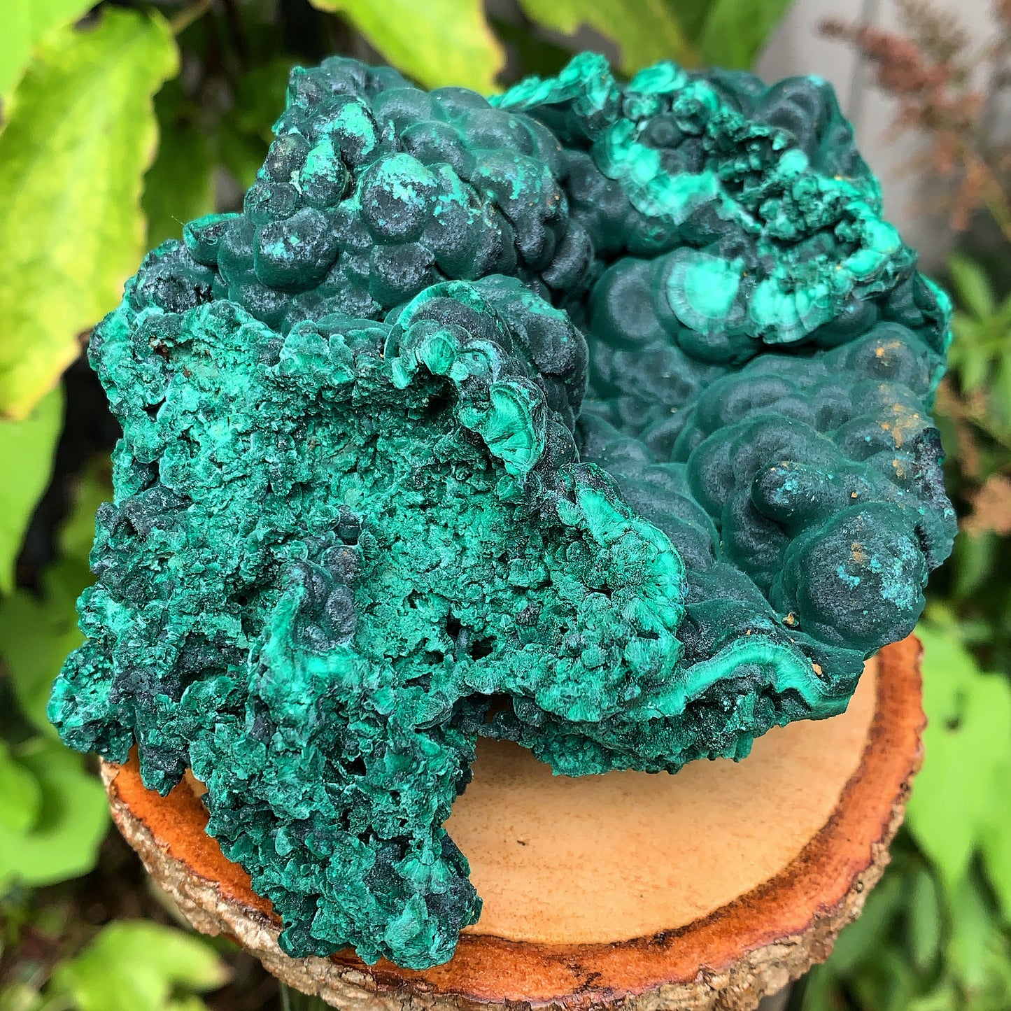 Malachite Silky Velvet - 535g