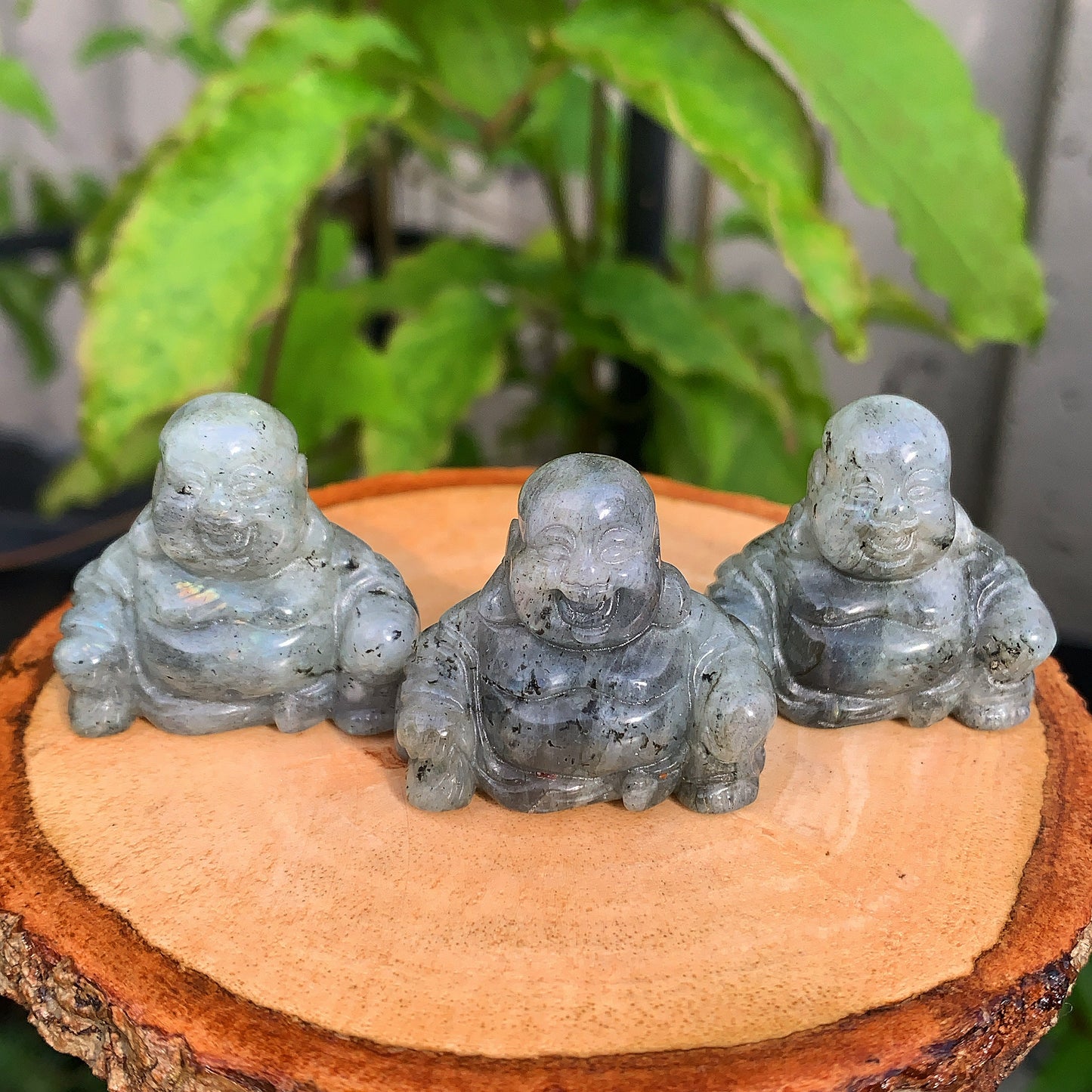 Labradorite Laughing Buddha