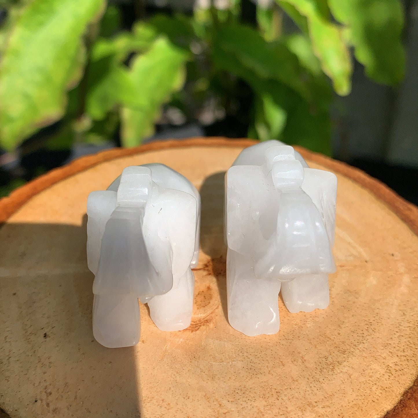 White Jade Elephant