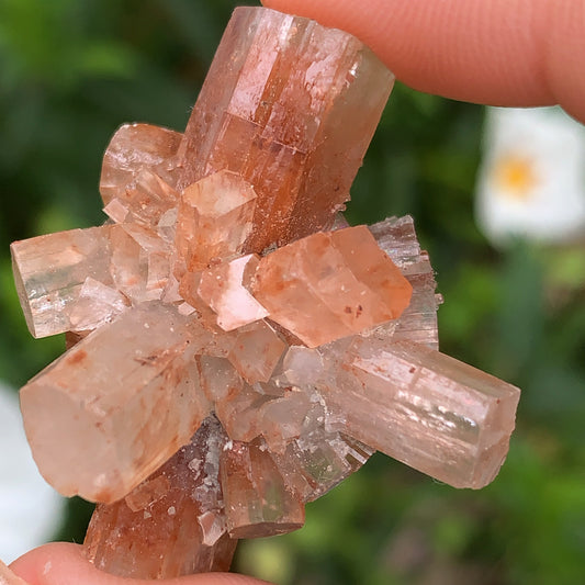 Aragonite Cluster 1 - 21g