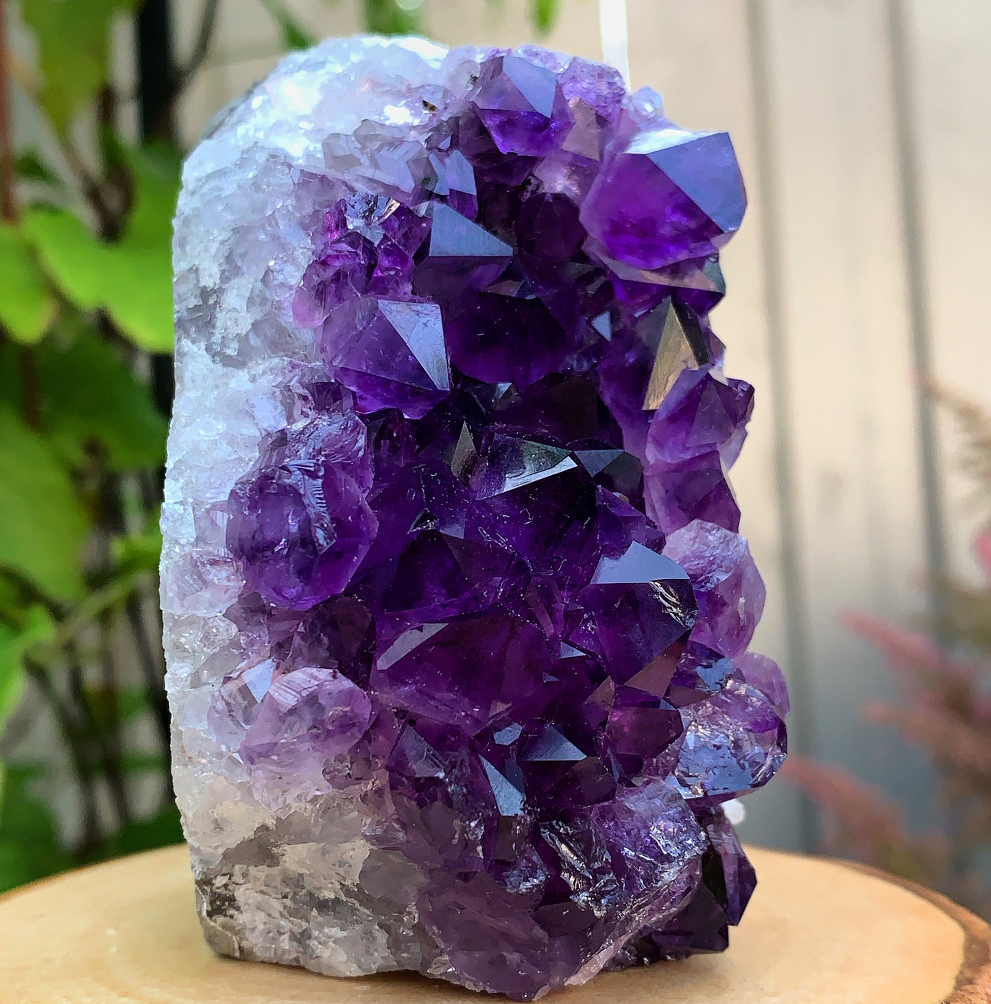 Uruguayan Amethyst Cluster #3