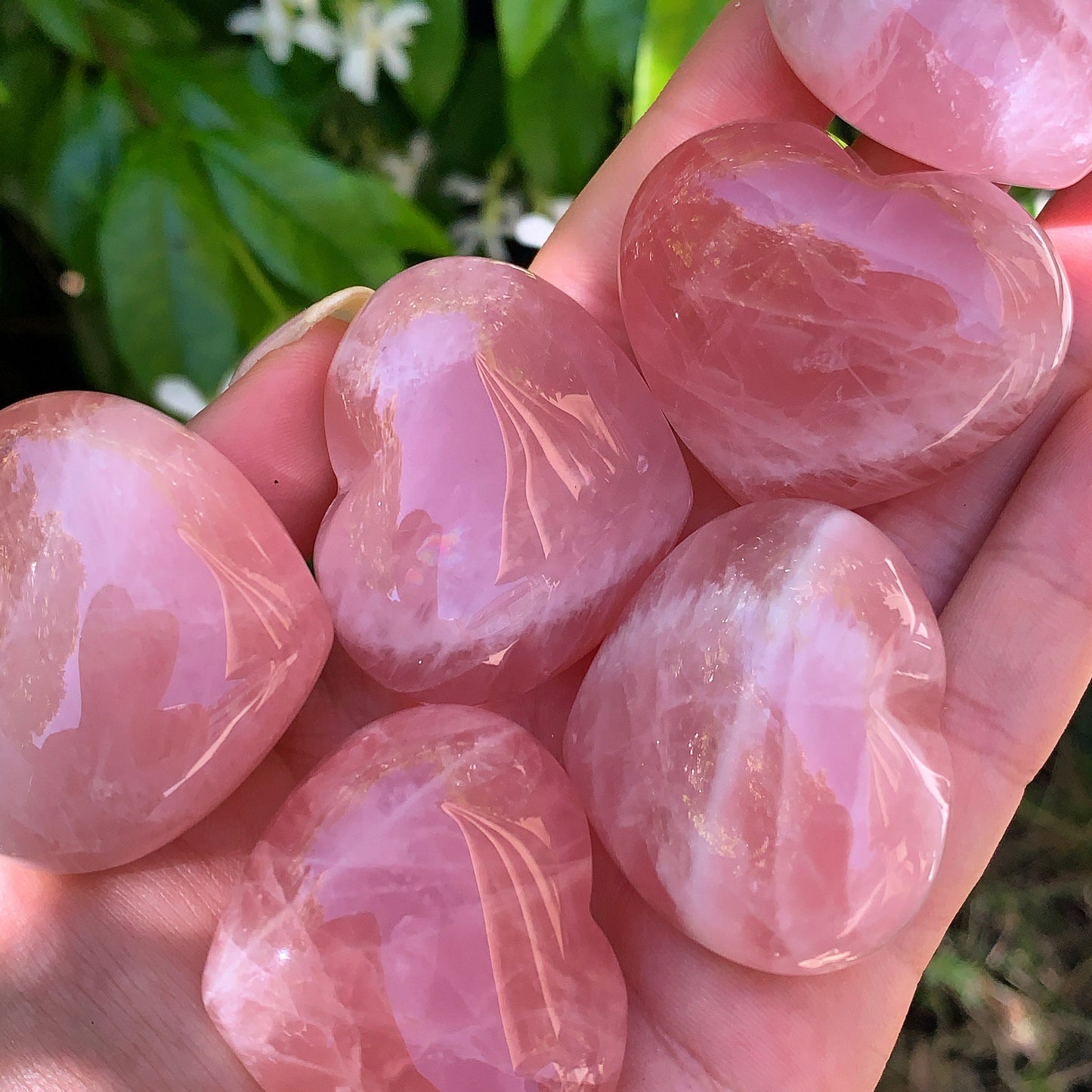 Rose Quartz Palm Hearts