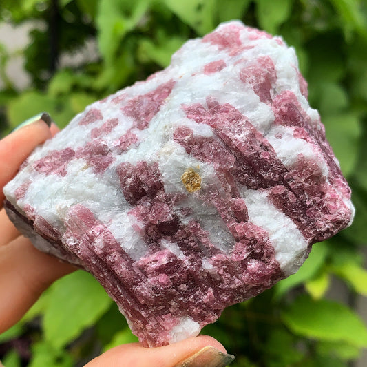 Raw Pink Tourmaline #8