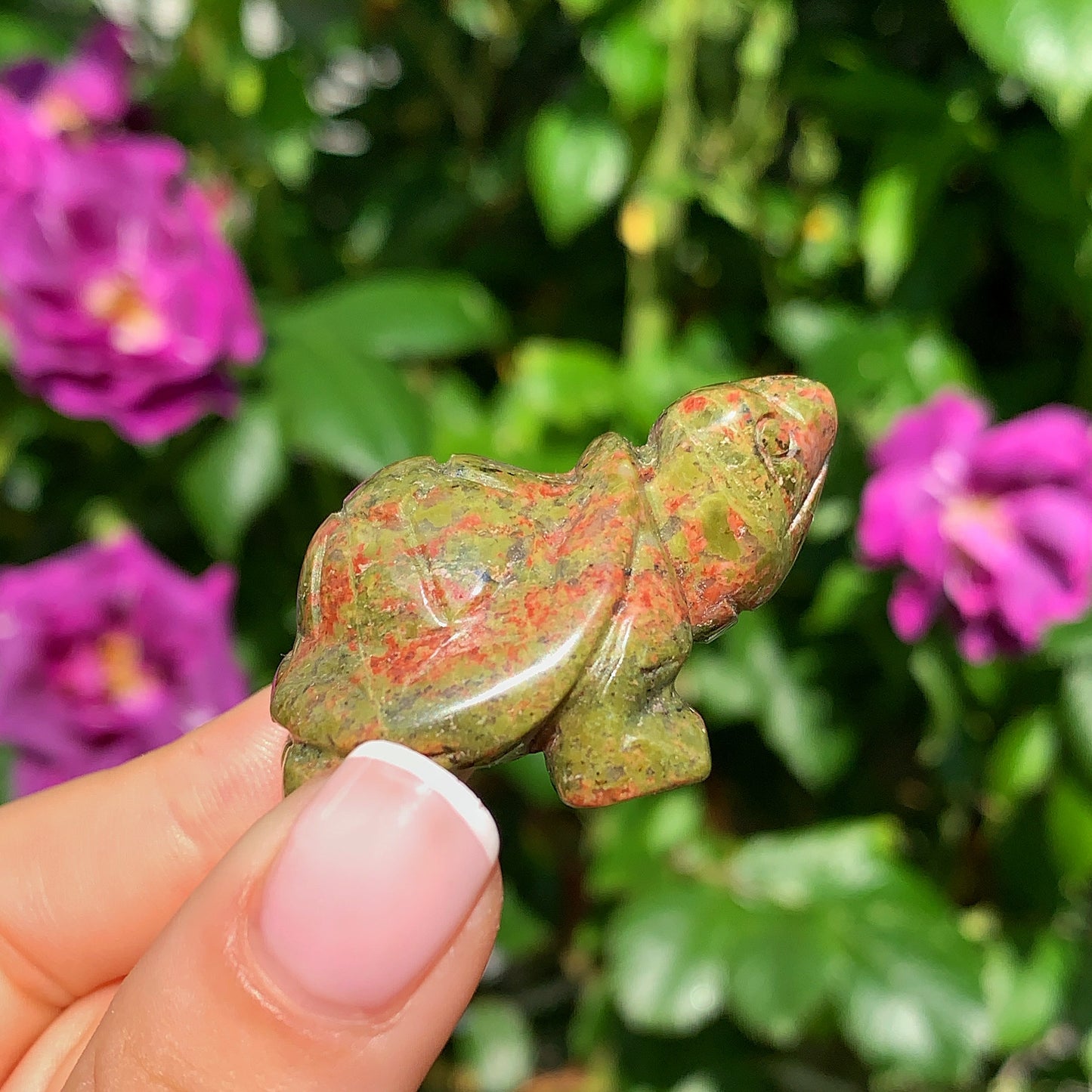 Crystal Tortoise