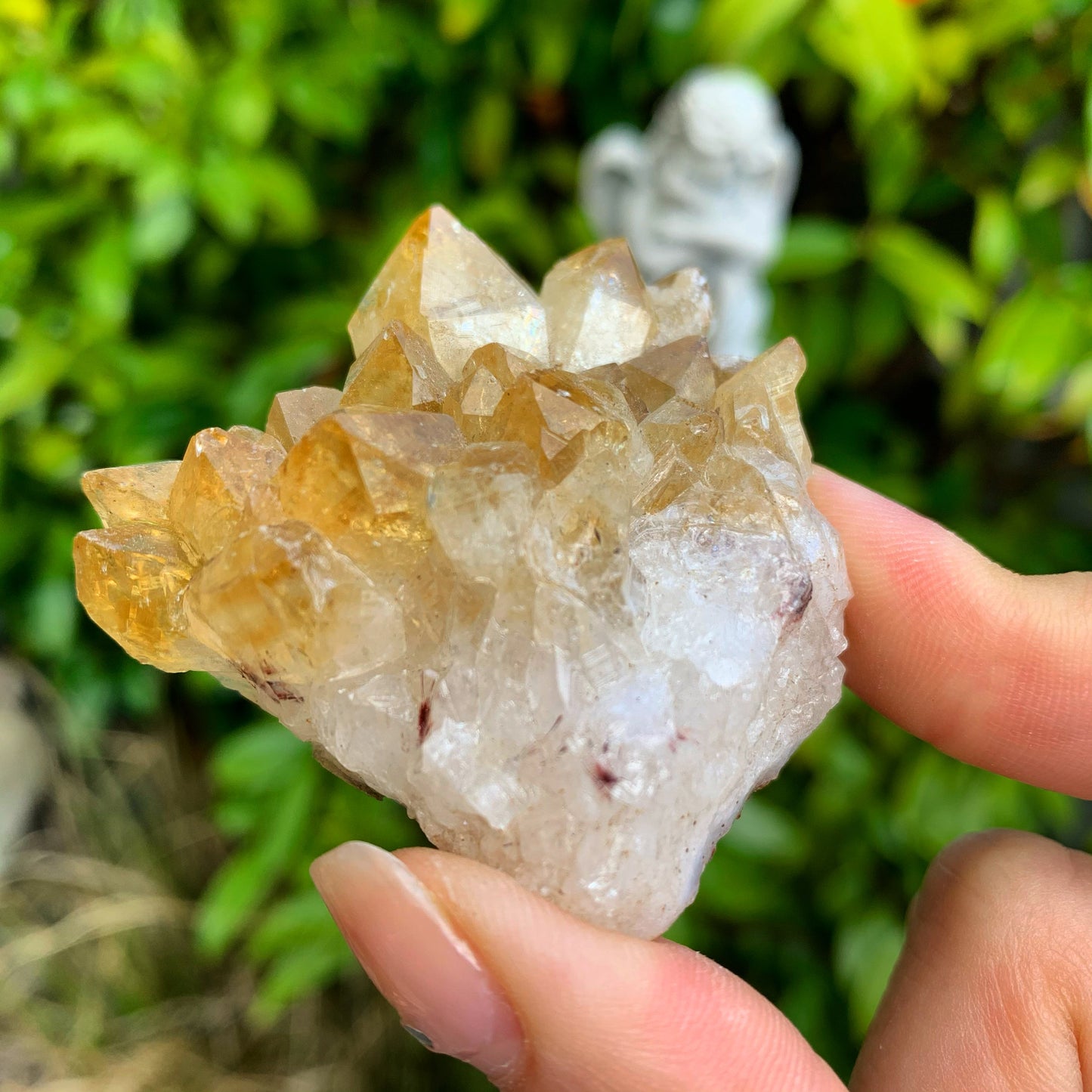 Citrine Crystal Cluster