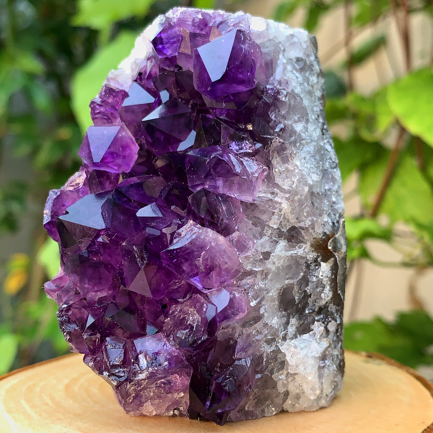 Uruguayan Amethyst Cluster #3