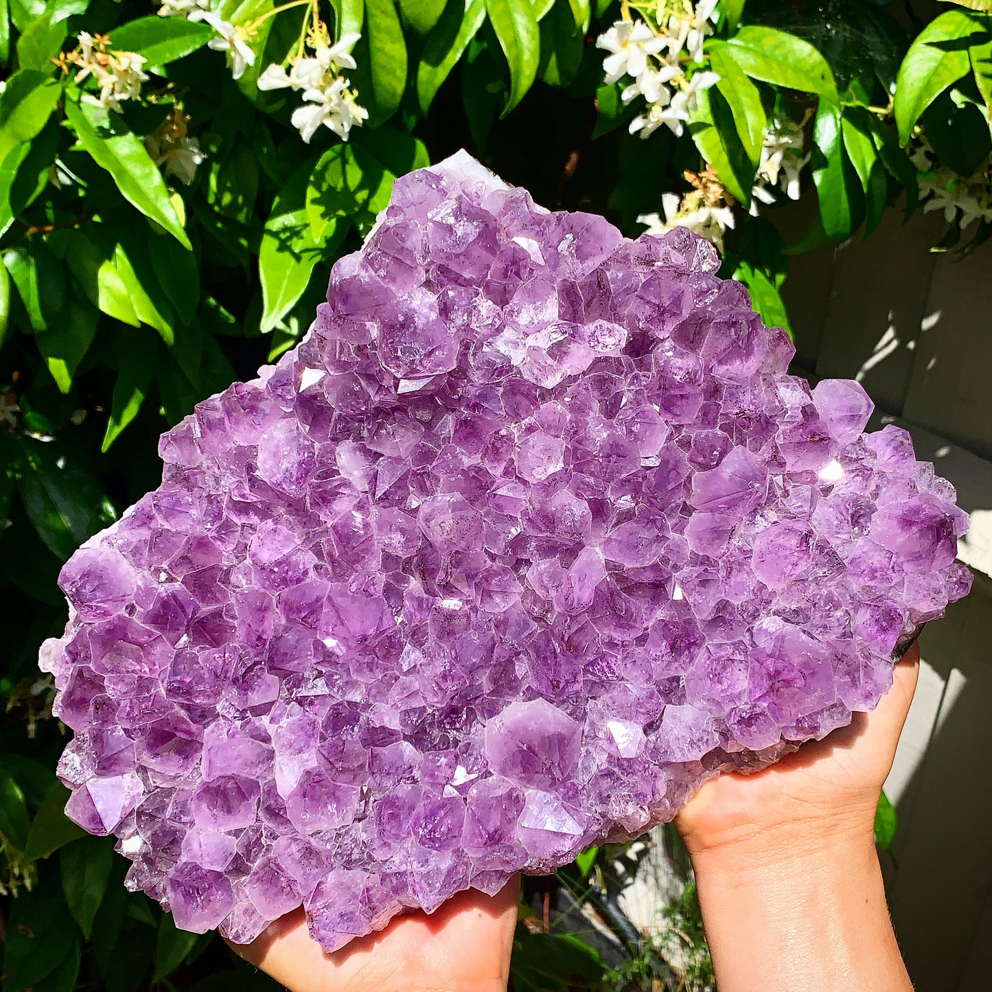 Giant Raw Amethyst Cluster - 3.5KG