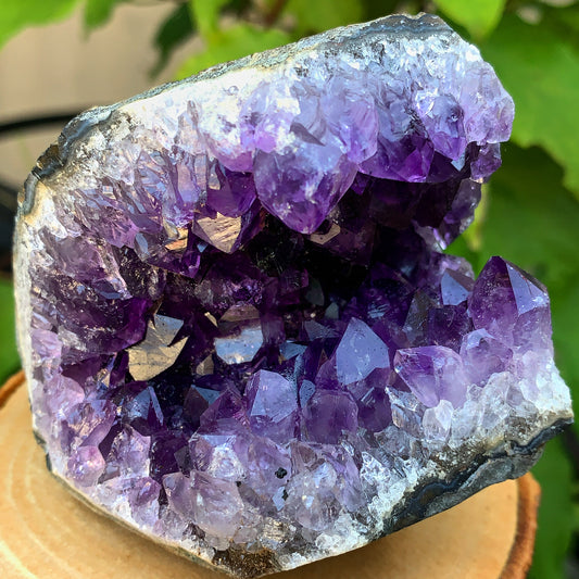 Uruguayan Amethyst Cluster #5