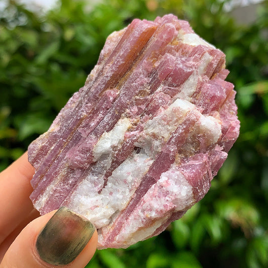 Raw Pink Tourmaline #4