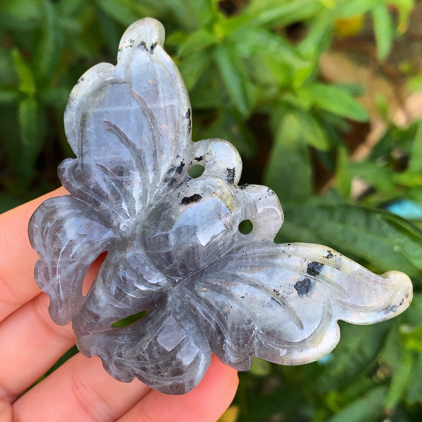 Enchanted Labradorite Butterfly