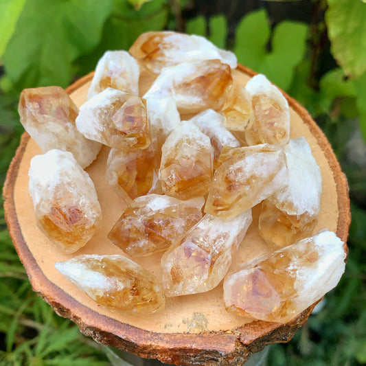 Mini Citrine Shards