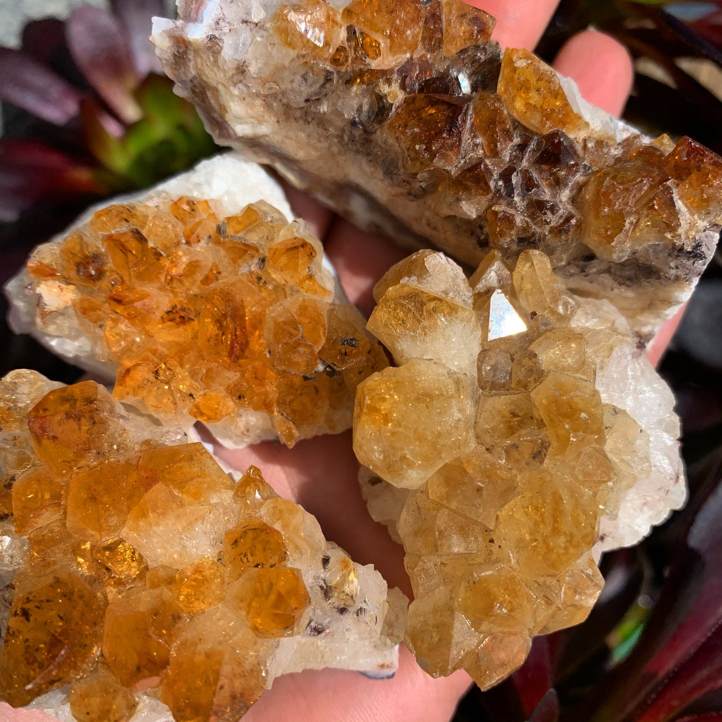 Citrine Crystal Cluster