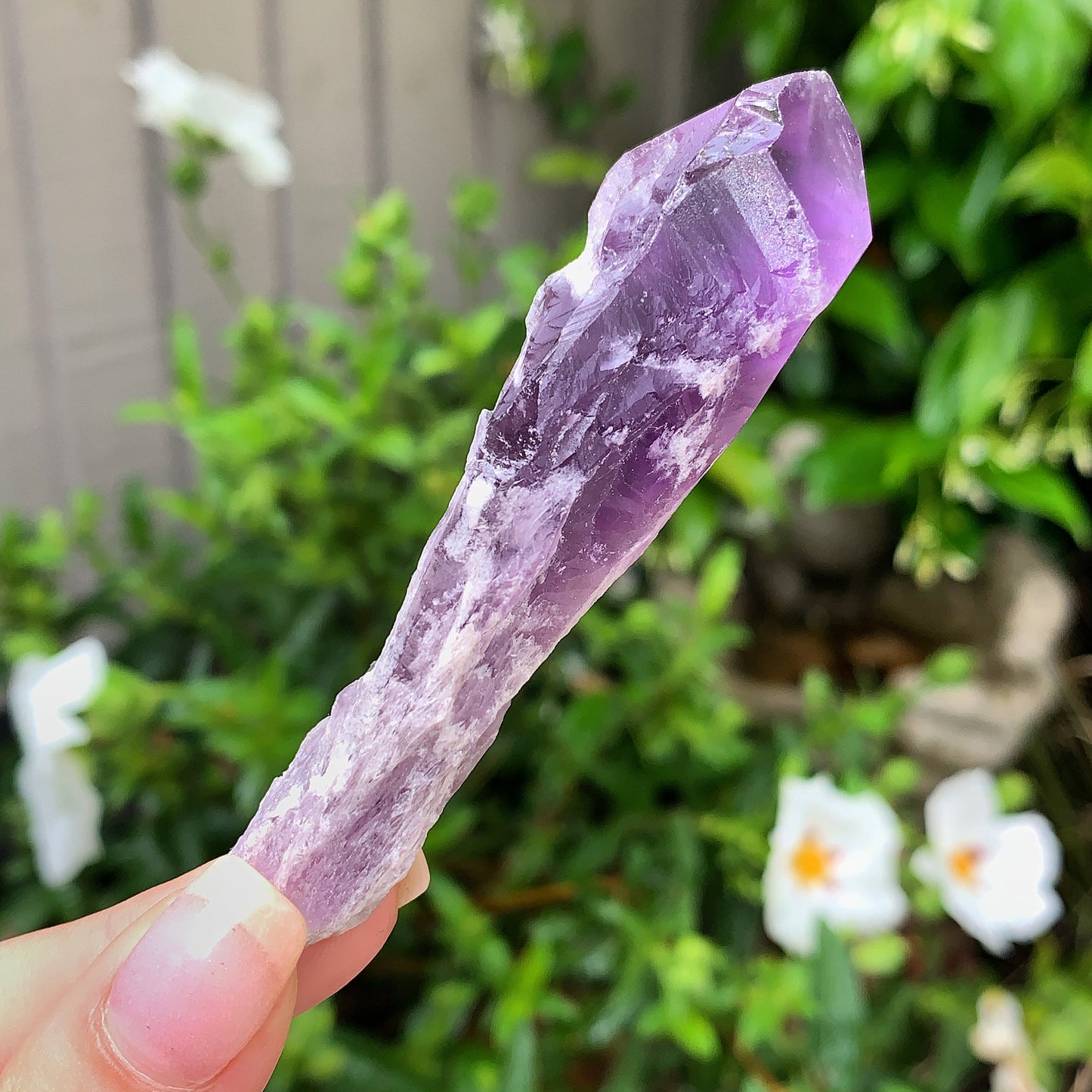 Raw Amethyst Shards