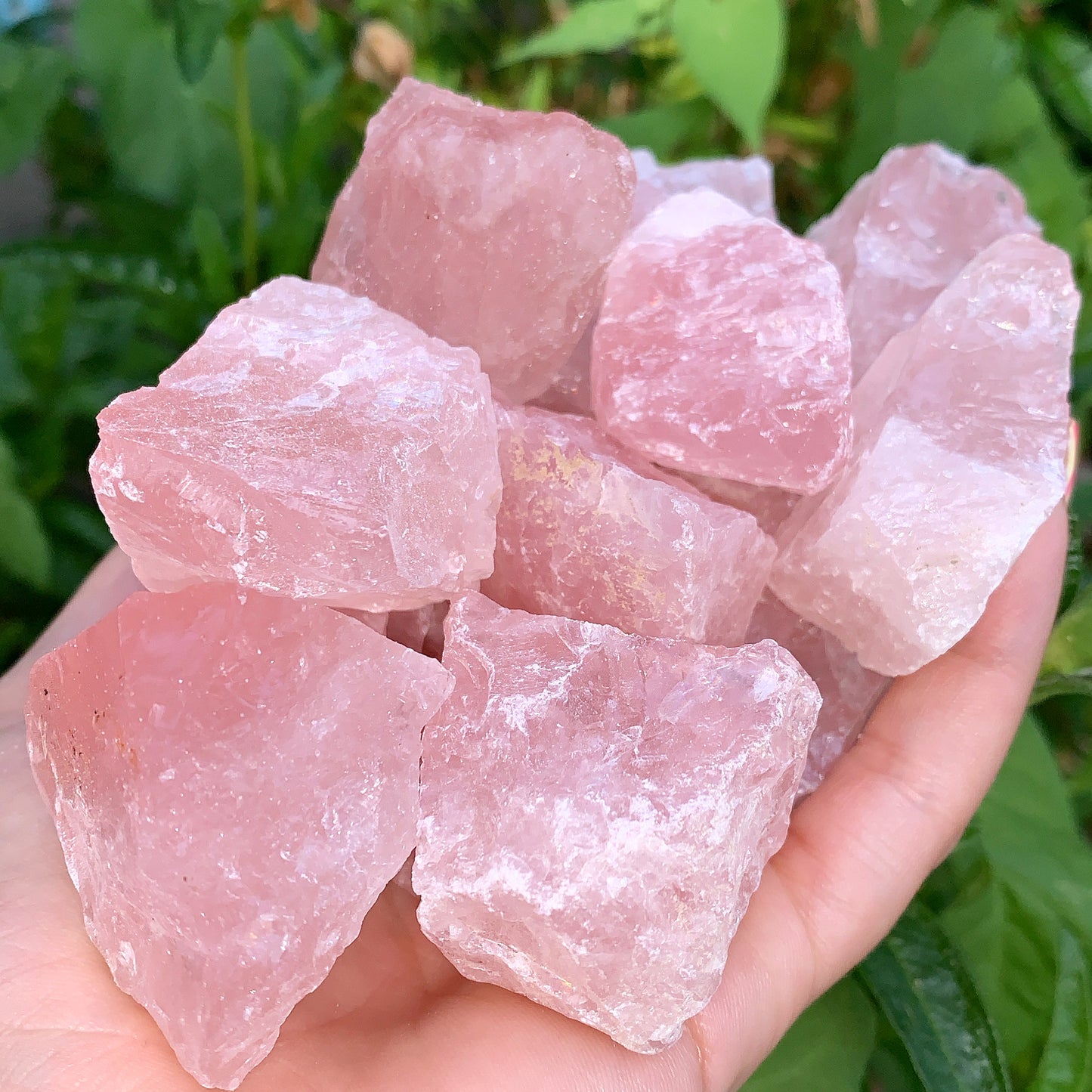 Rose Quartz Rough Crystal