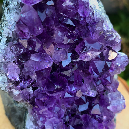 Uruguayan Amethyst Cluster #4