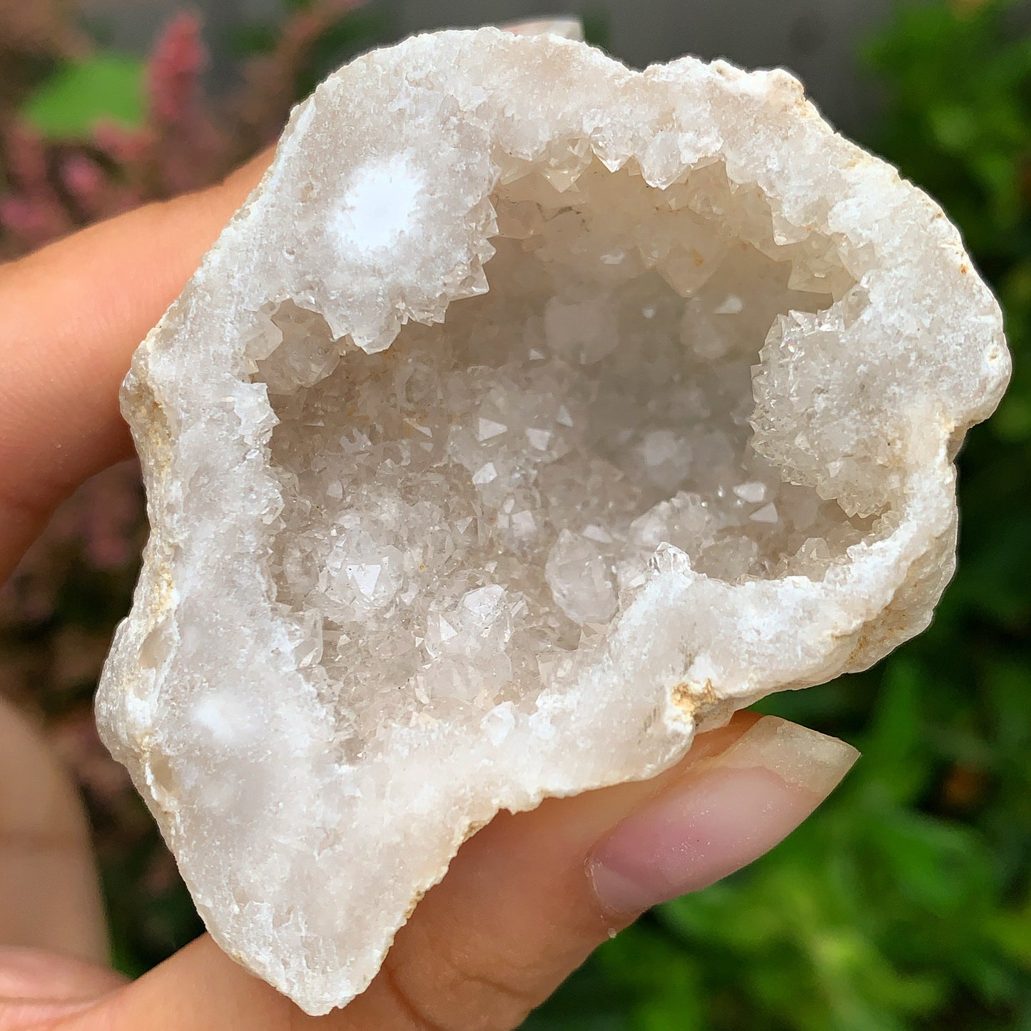 Mini Agate Geode Slices