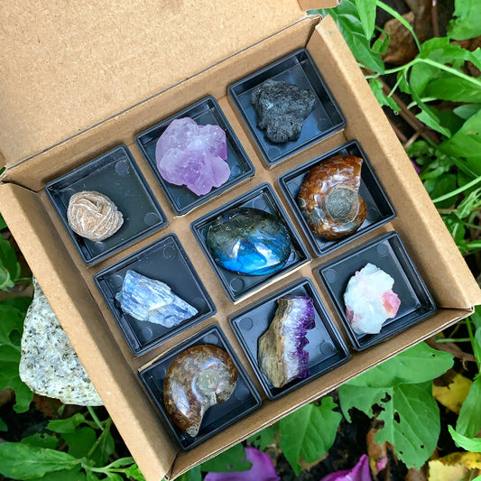 Ancient Specimen Fossil & Crystal Gift Box