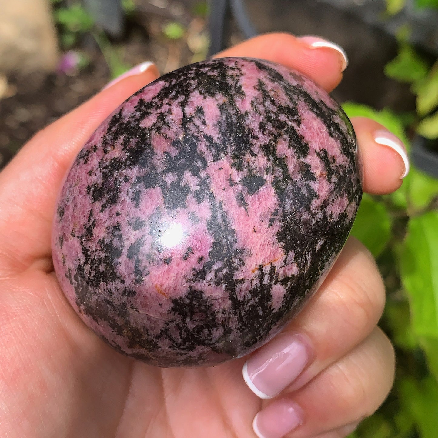 Plum Blossom Tourmaline Palm Stone