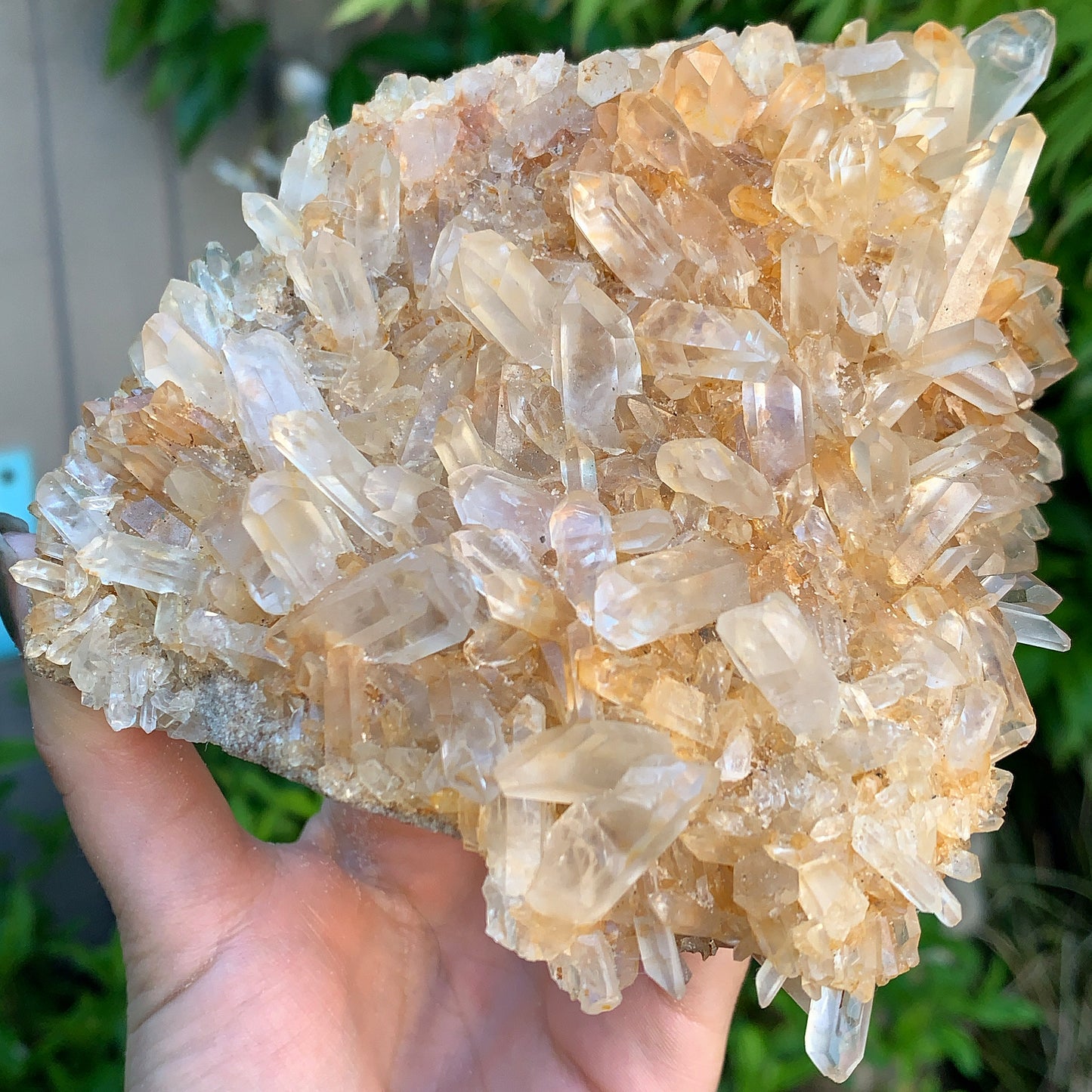 Dreamy Clear Quartz Cluster - 669g