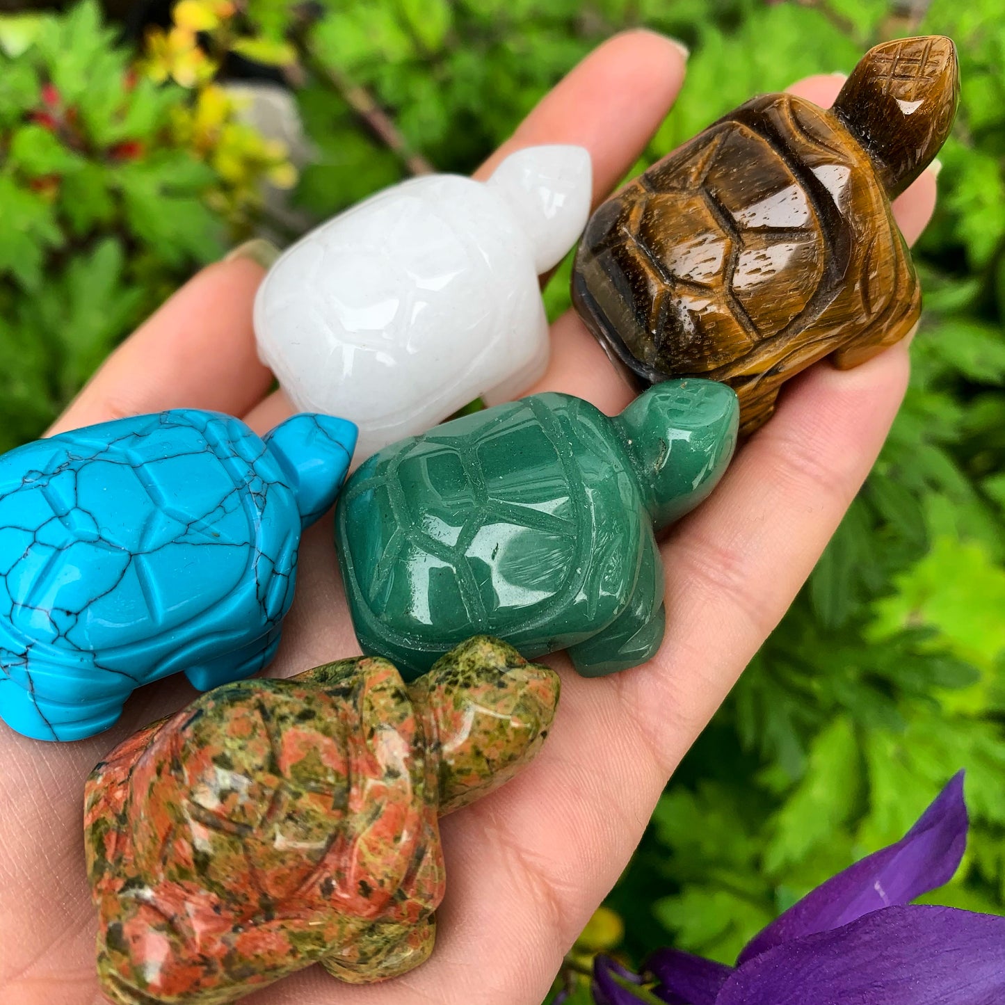 Crystal Tortoise