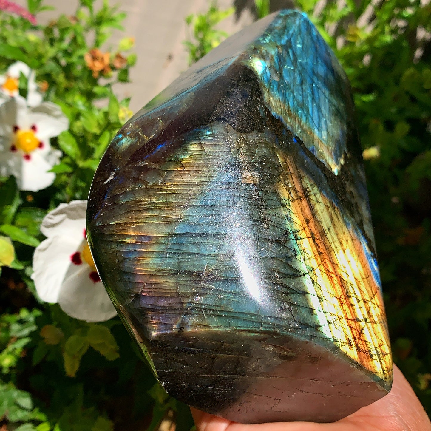 High Grade Labradorite Slab -  2.3KG