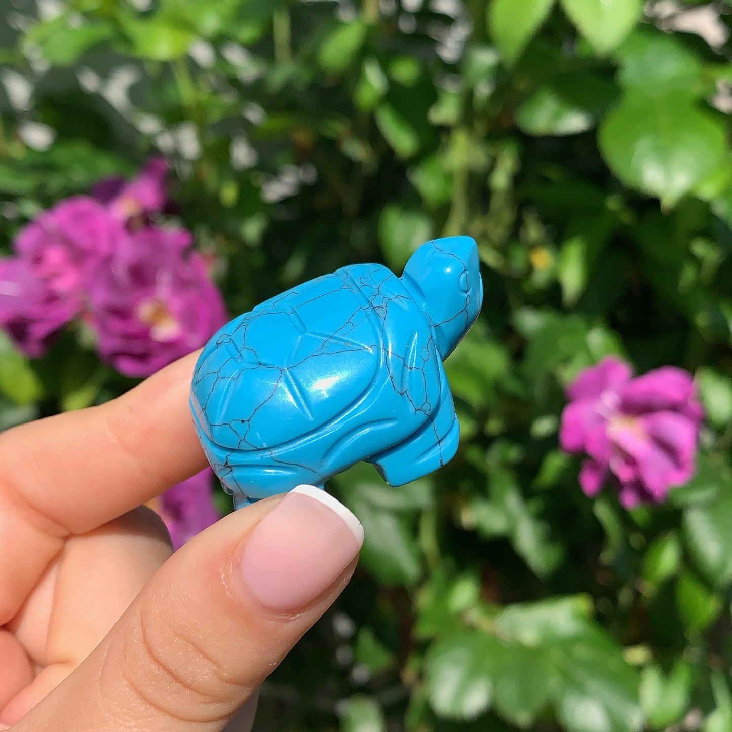 Crystal Tortoise