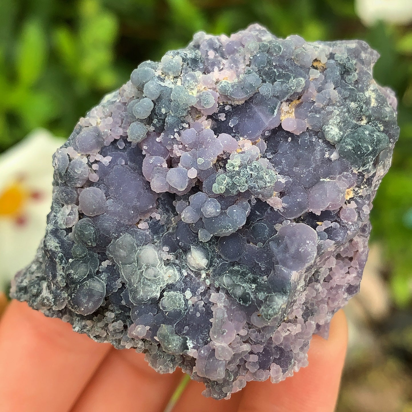Frosted Grape Agate - 52g