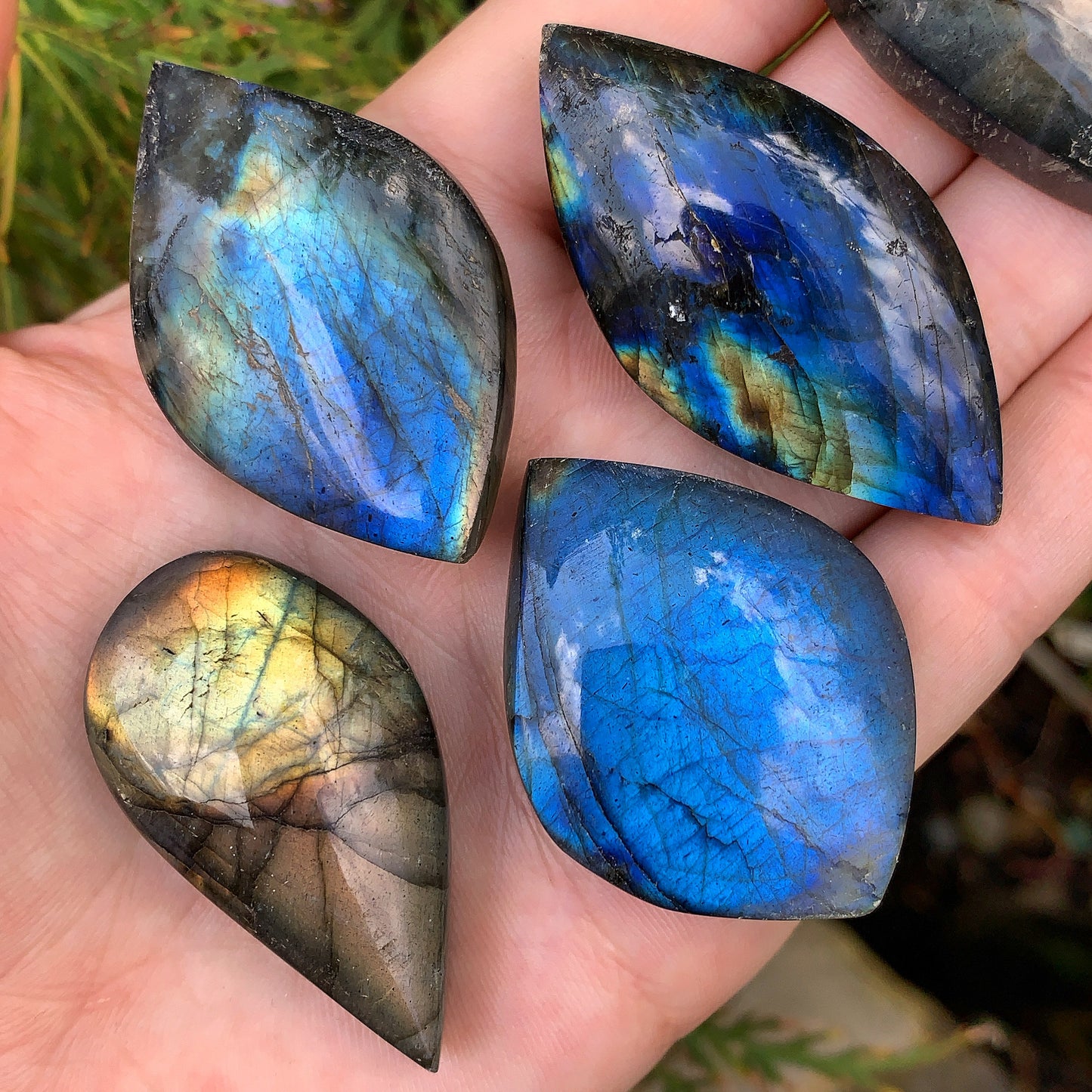 Labradorite Leaf