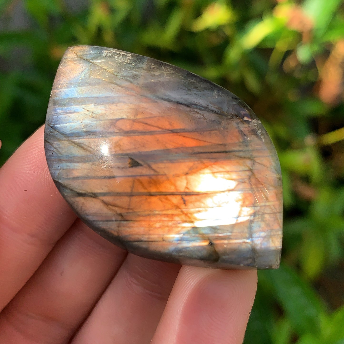 Labradorite Leaf