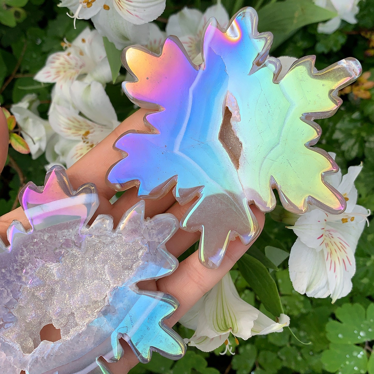 Angel Aura Druzy Agate Snowflake