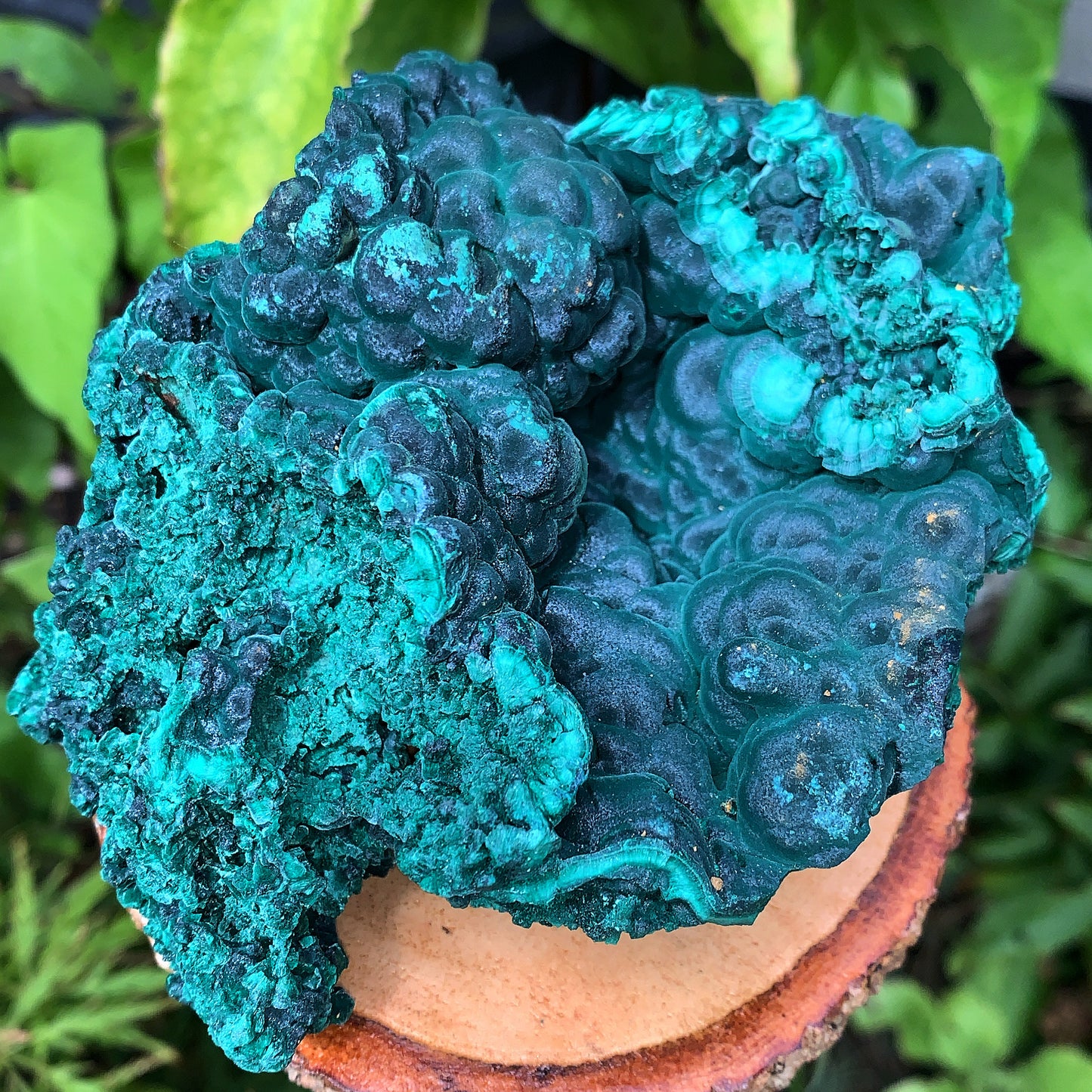 Malachite Silky Velvet - 535g