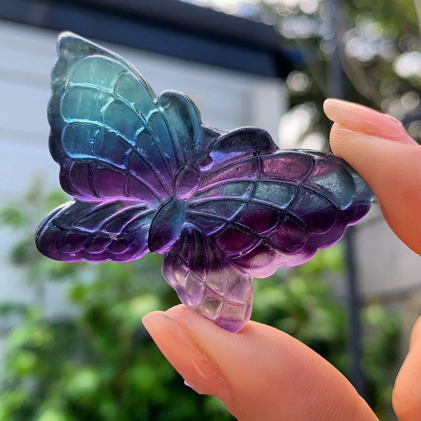Hand Carved Rainbow Fluorite Butterfly