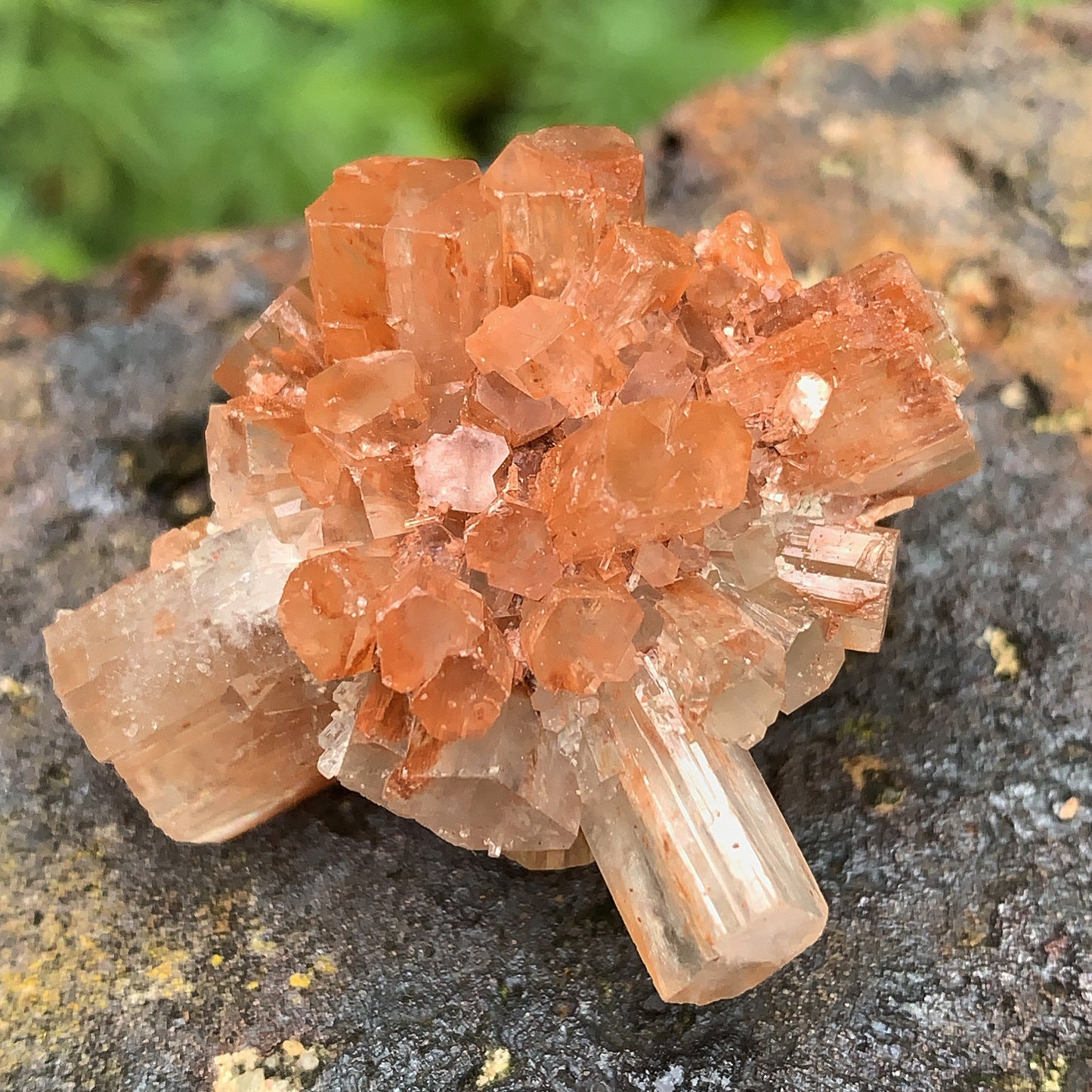 Aragonite Cluster 1 - 21g