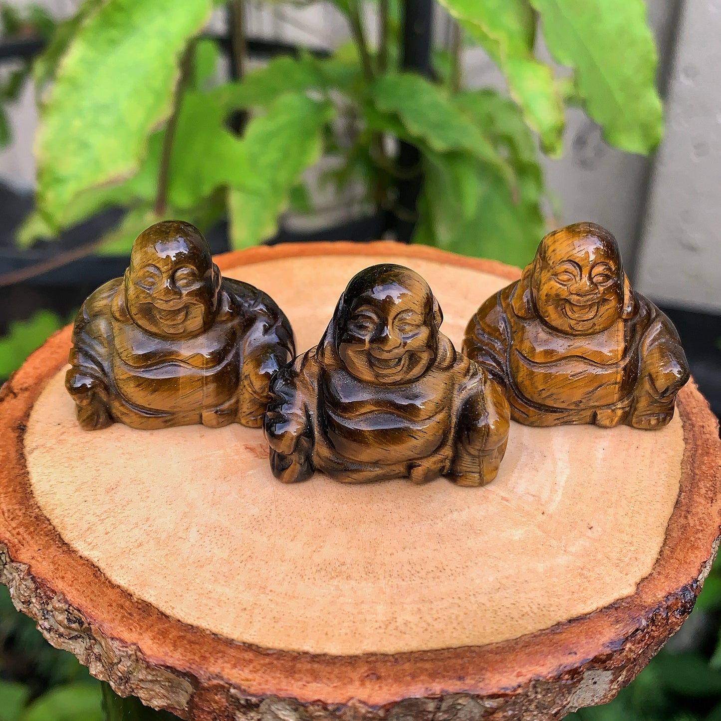 Tigers Eye Laughing Buddha