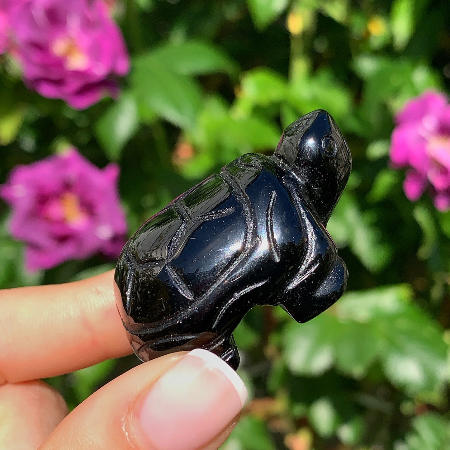 Crystal Tortoise