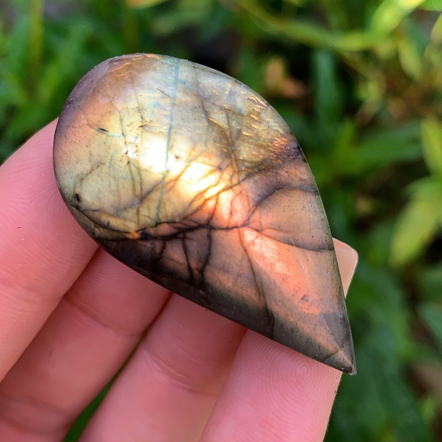 Labradorite Leaf