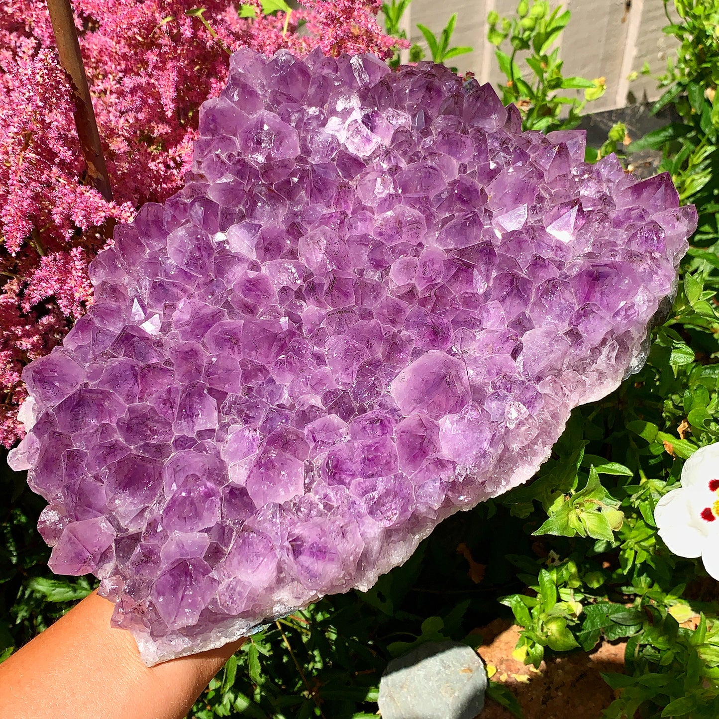 Giant Raw Amethyst Cluster - 3.5KG